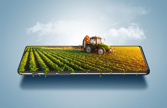 RadiusTheme Services